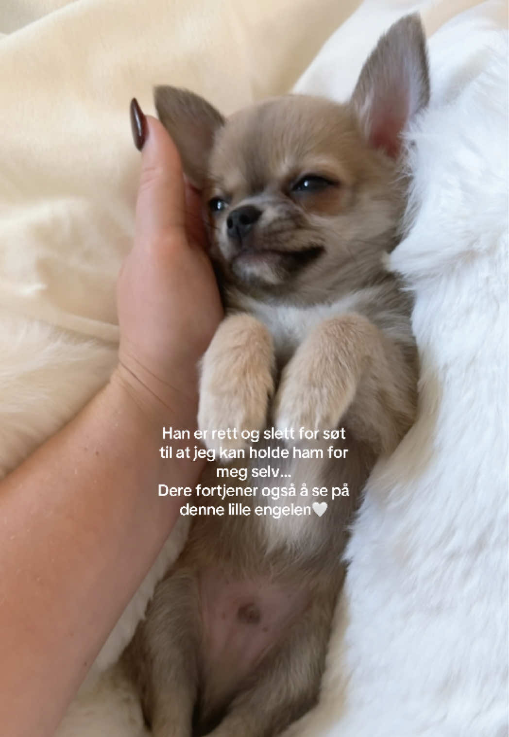 @Josefine Baronette