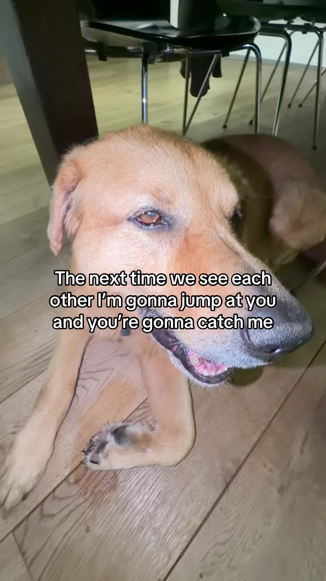 @Neo