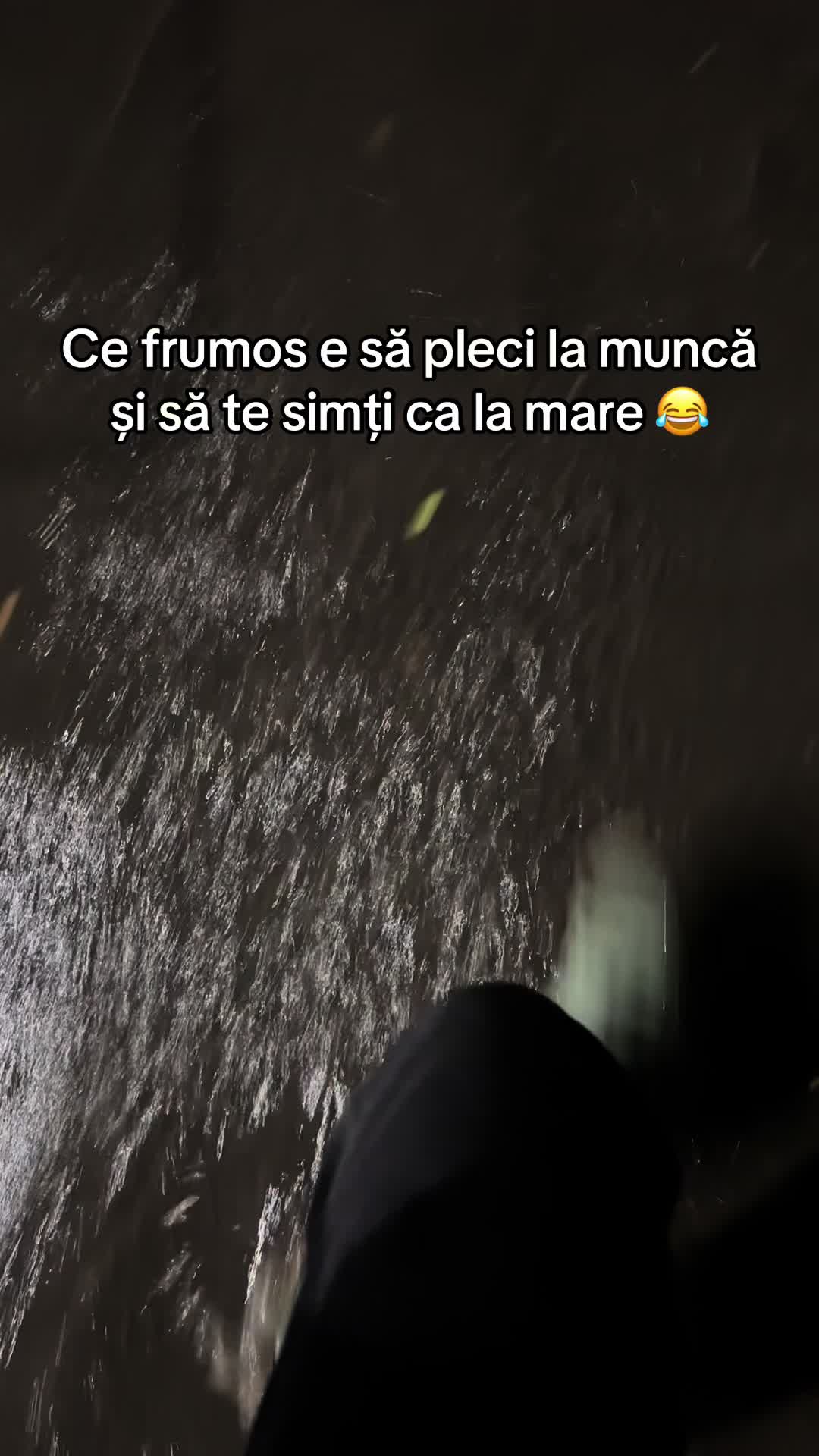 @Sebi