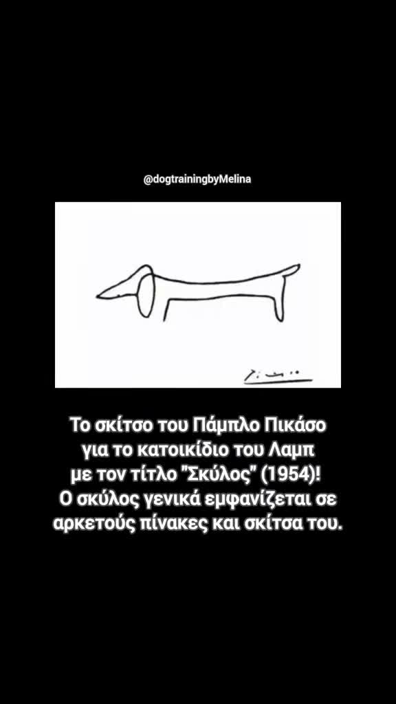 @dogtrainingbymelina