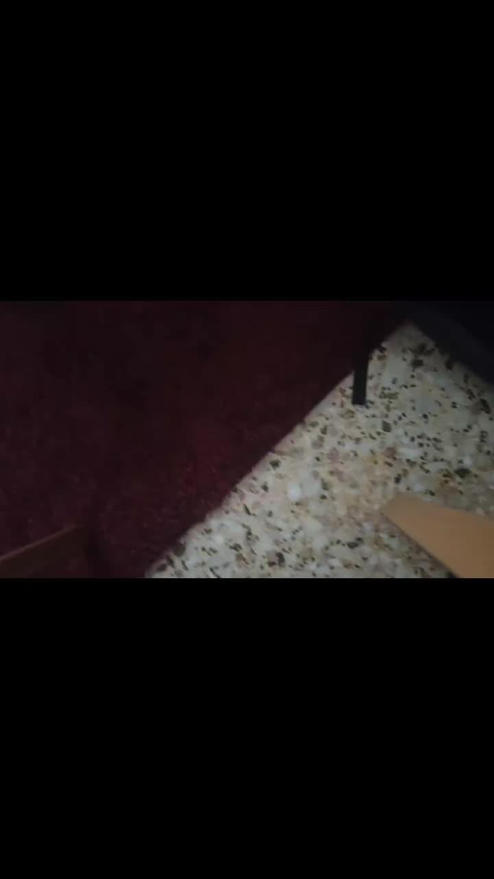 @repsiman