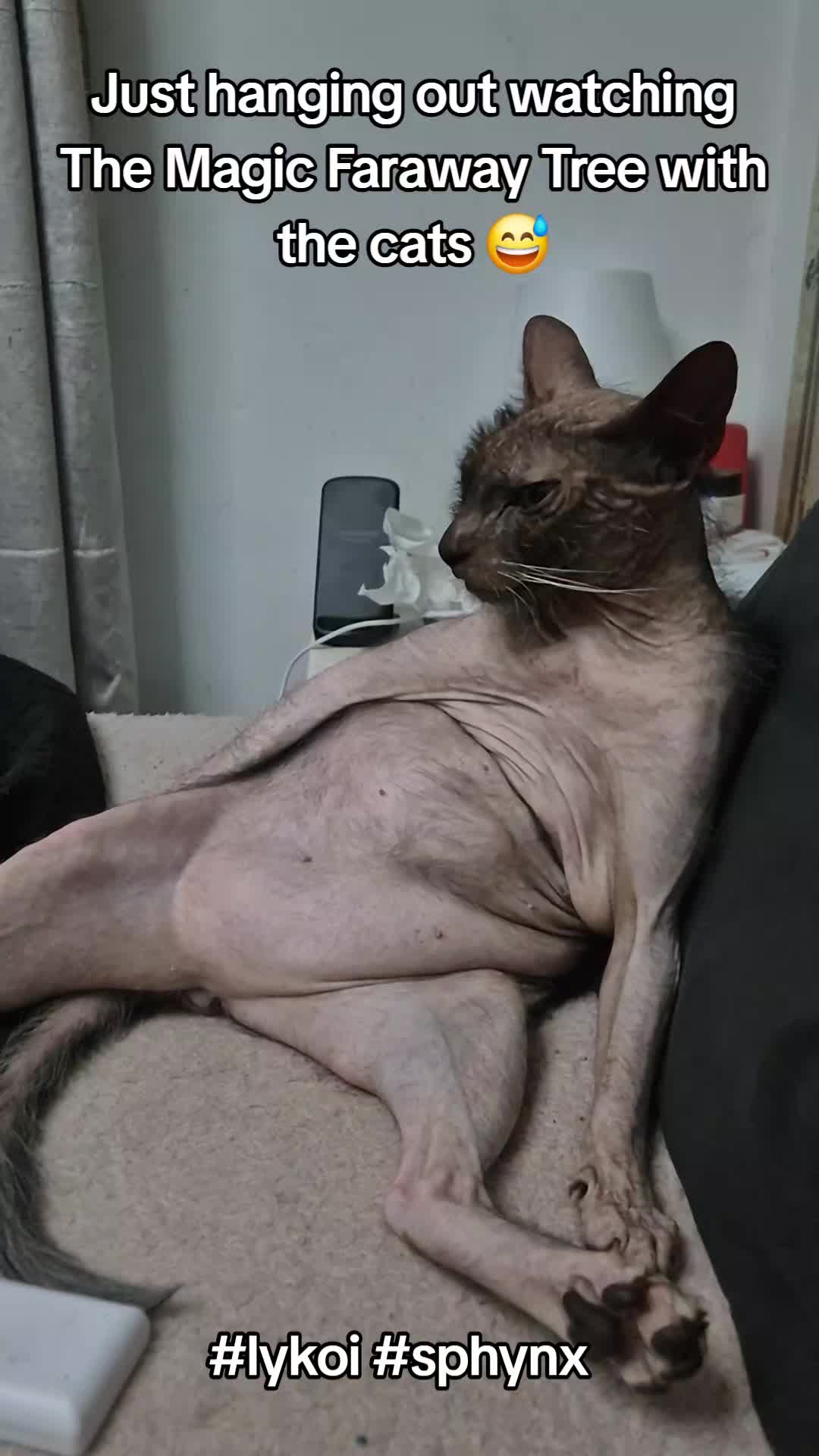 @sarah_cyanide