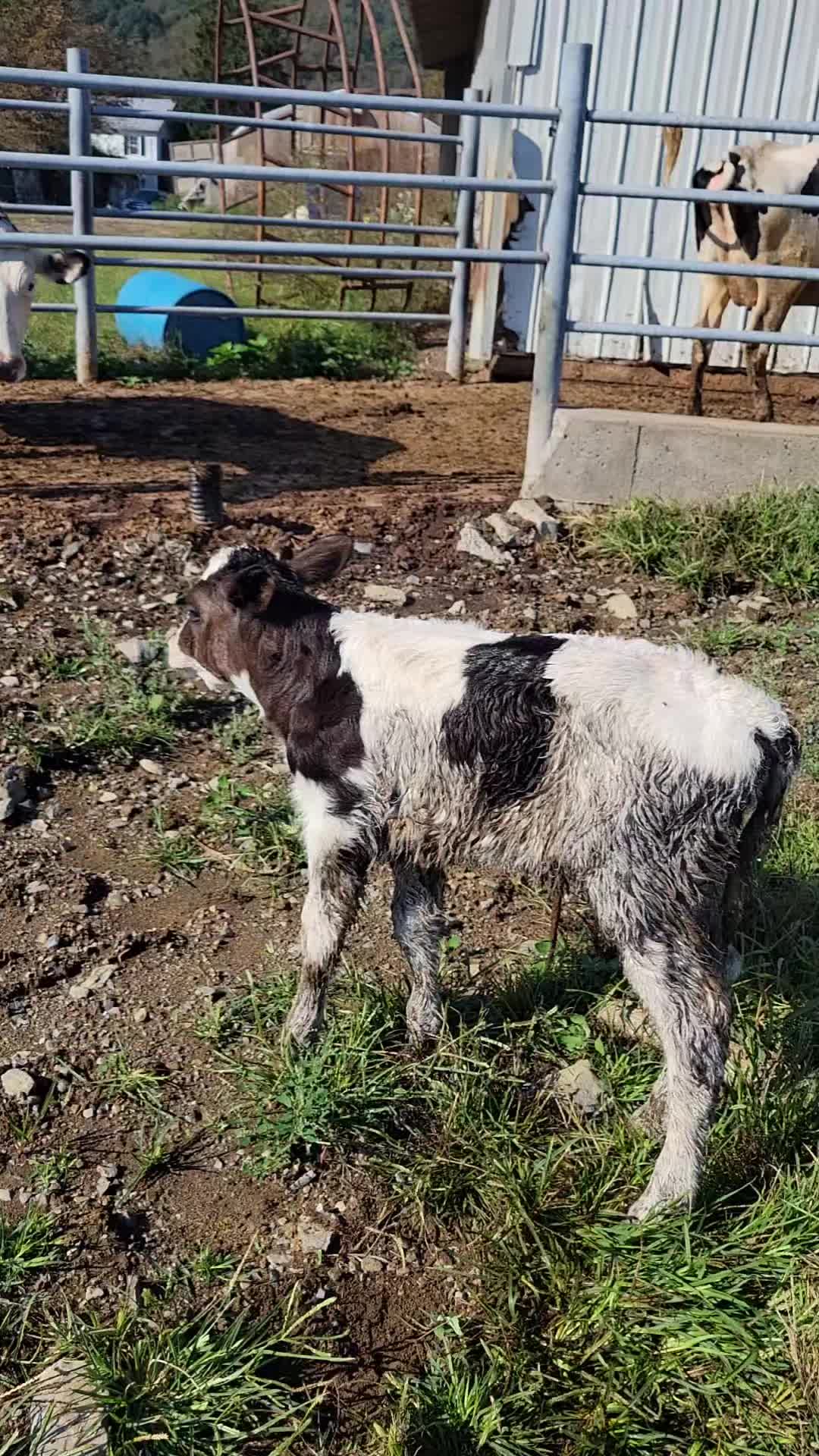 @Just Another FarmFluencer