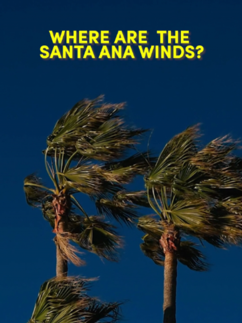 @Uncovering California