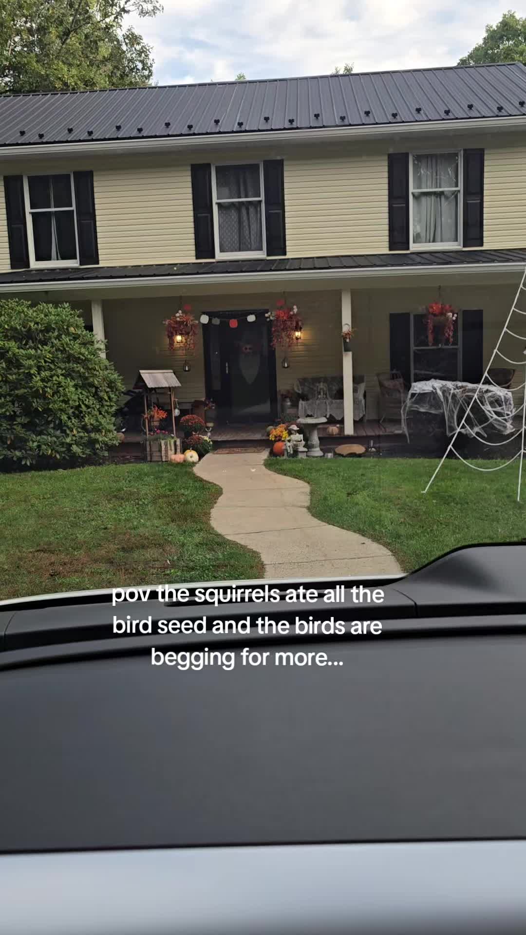 @ThatVeganBuzz