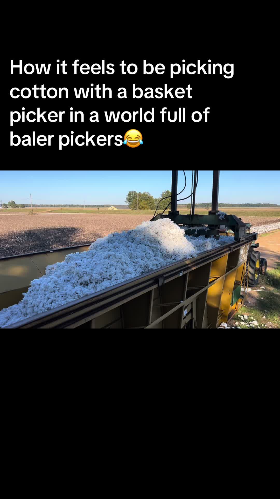 @Coleslaw