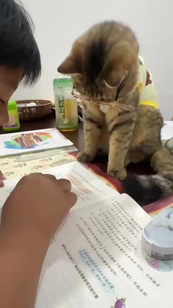 @Funny