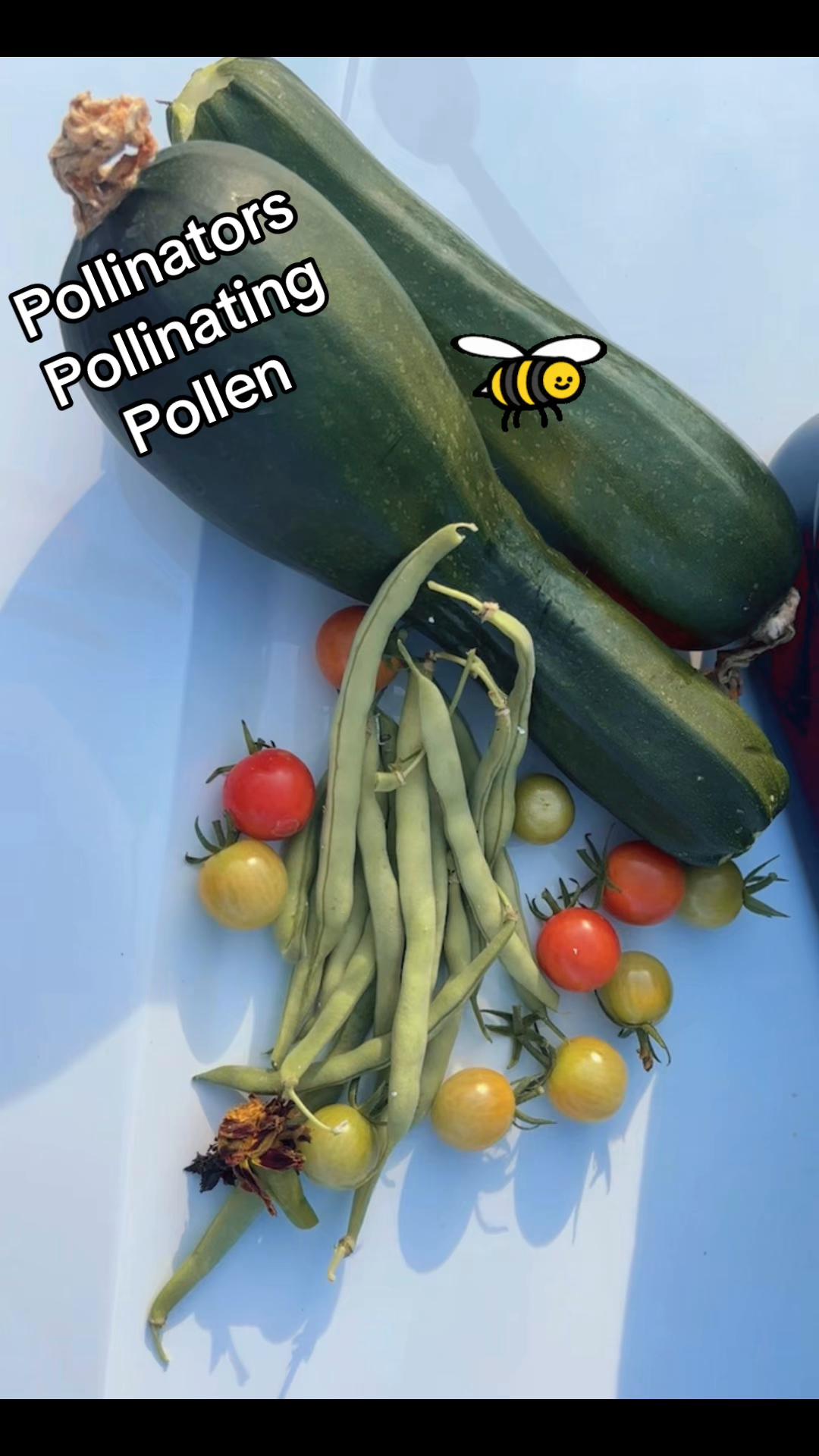 @greengirlgardens