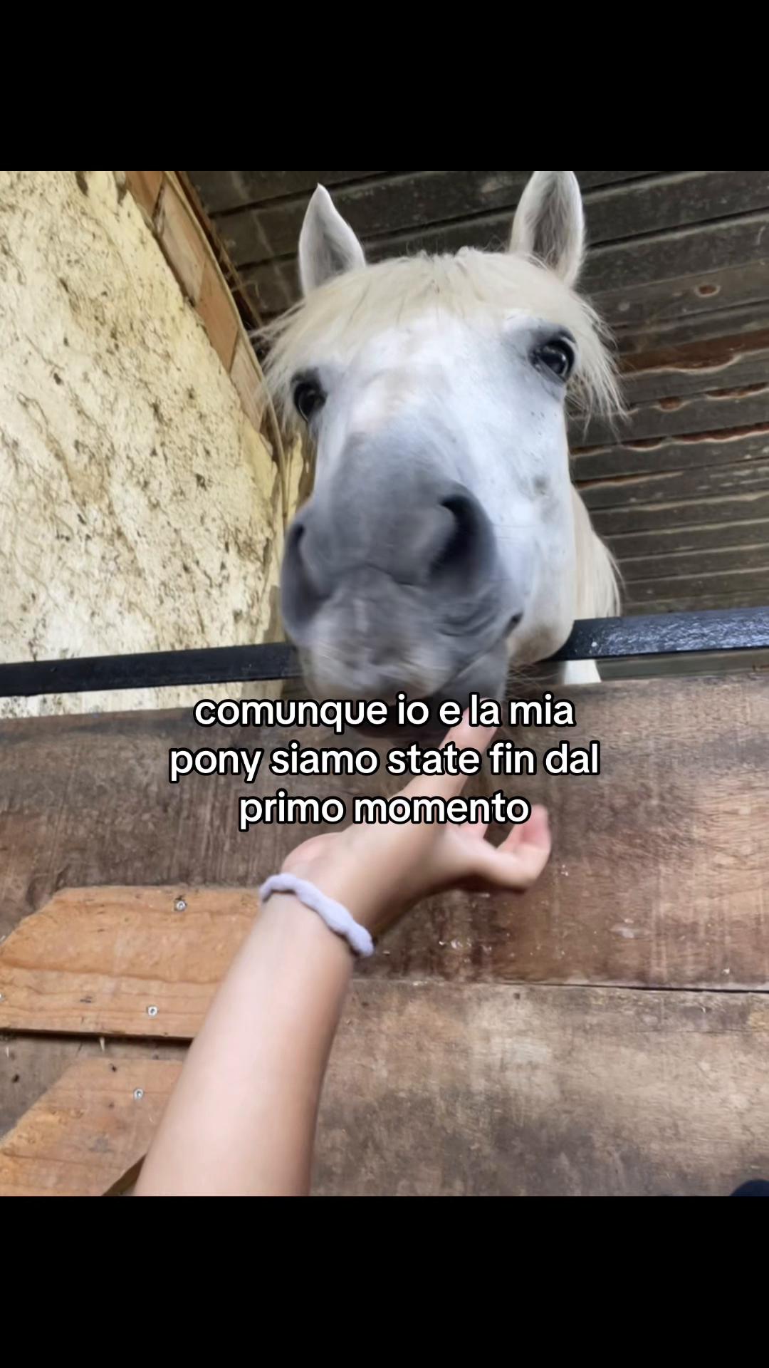 @spam.hr💫🚀💖