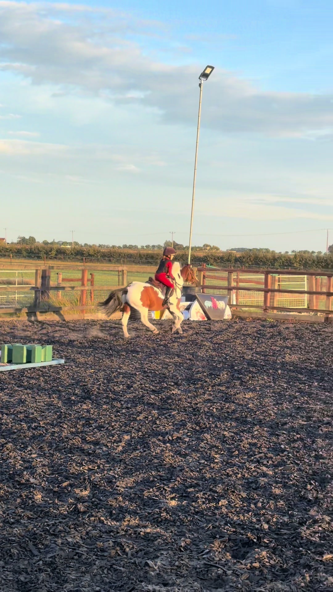 @Nina’s Pony Adventures ❤️