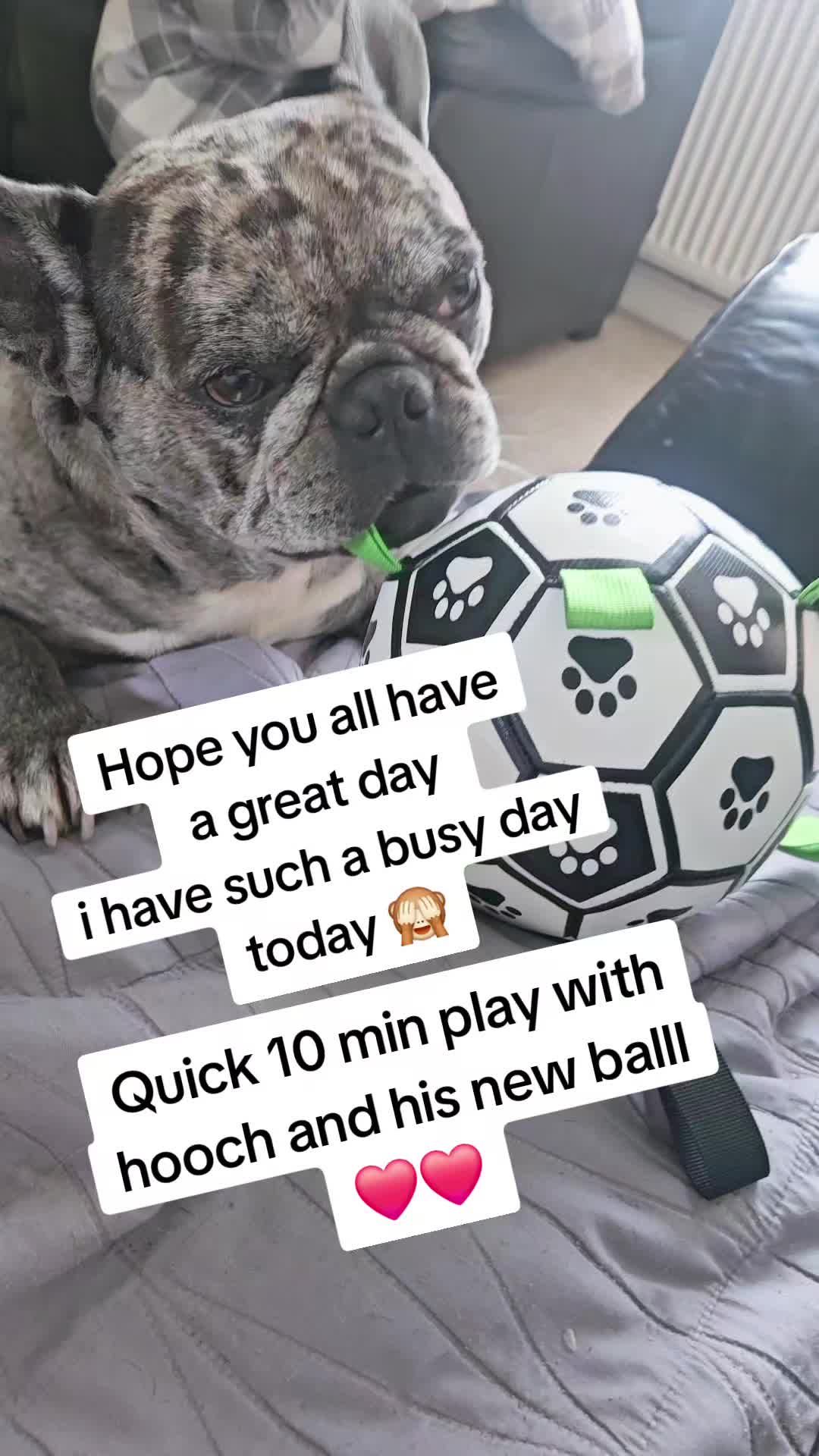 @Emma & Hooch ❤️🐾🐾