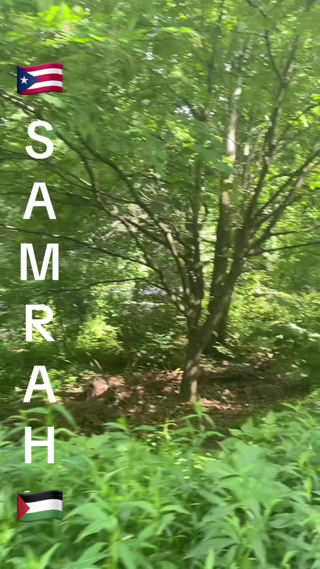 @Samrah888