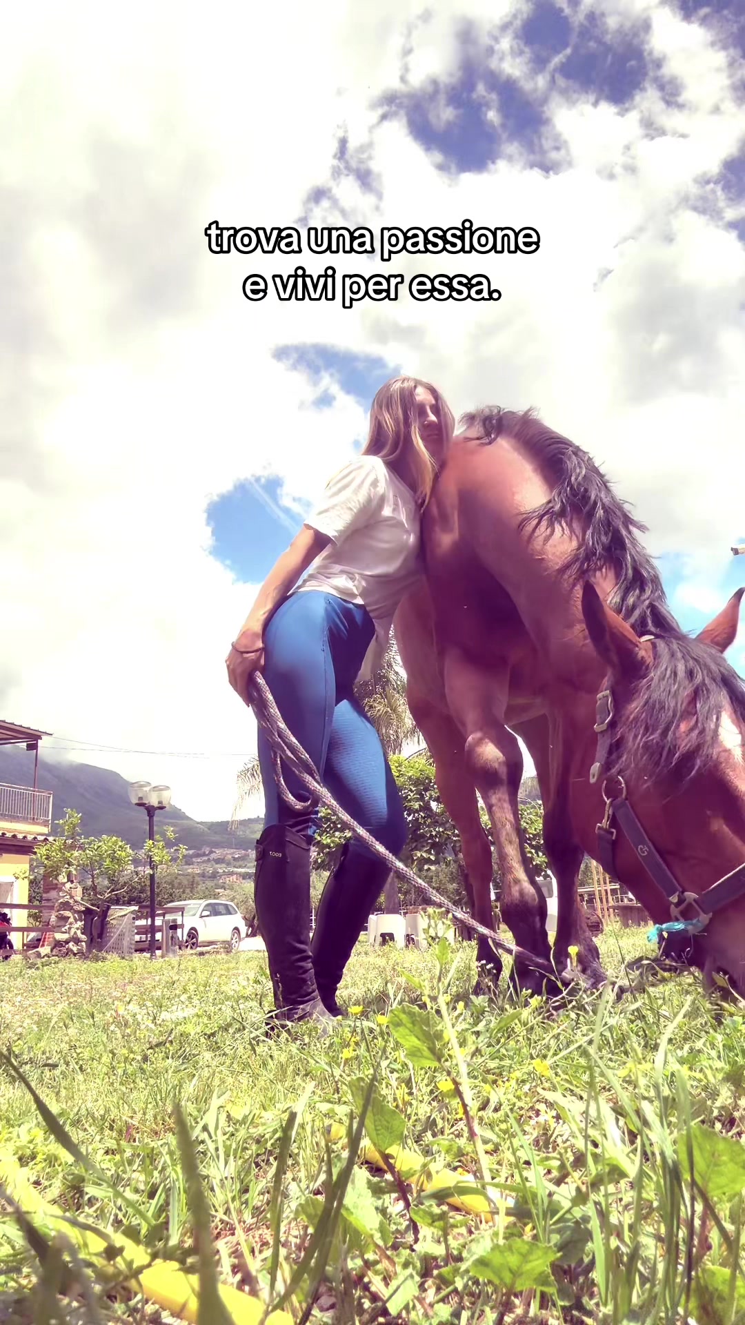 @Merydicarlo