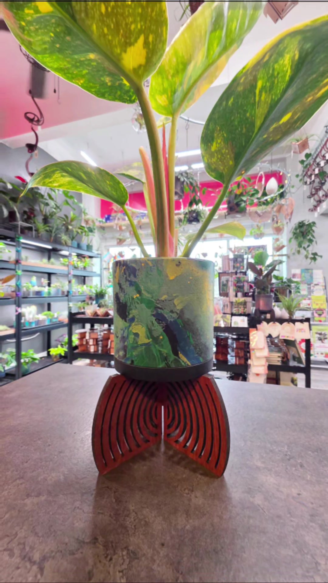@terraplanted | West Seattle