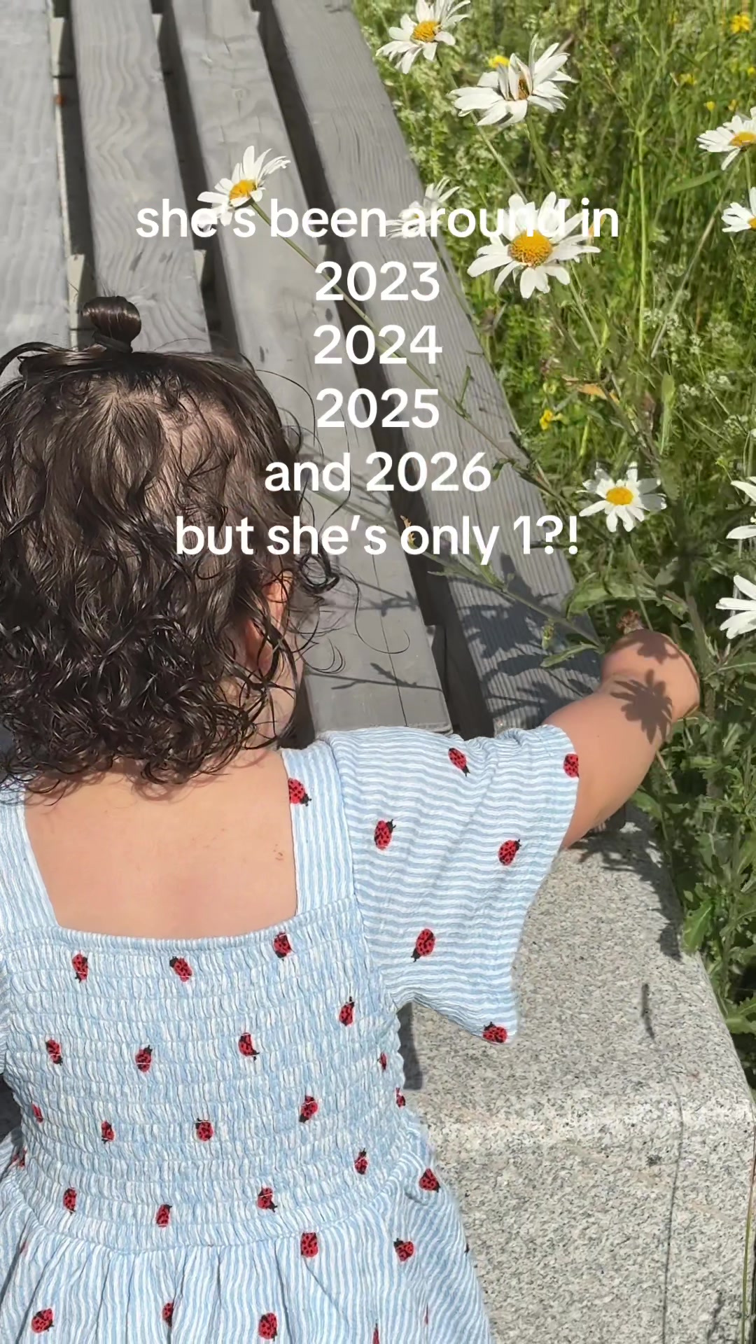 @Eleanor El-Khazragi