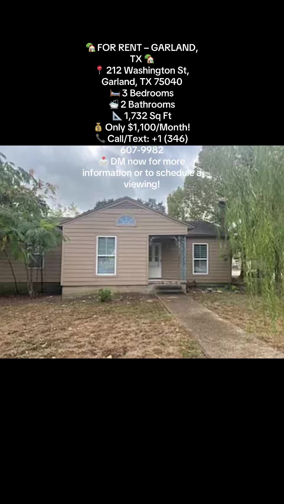 @lowbudget house rent