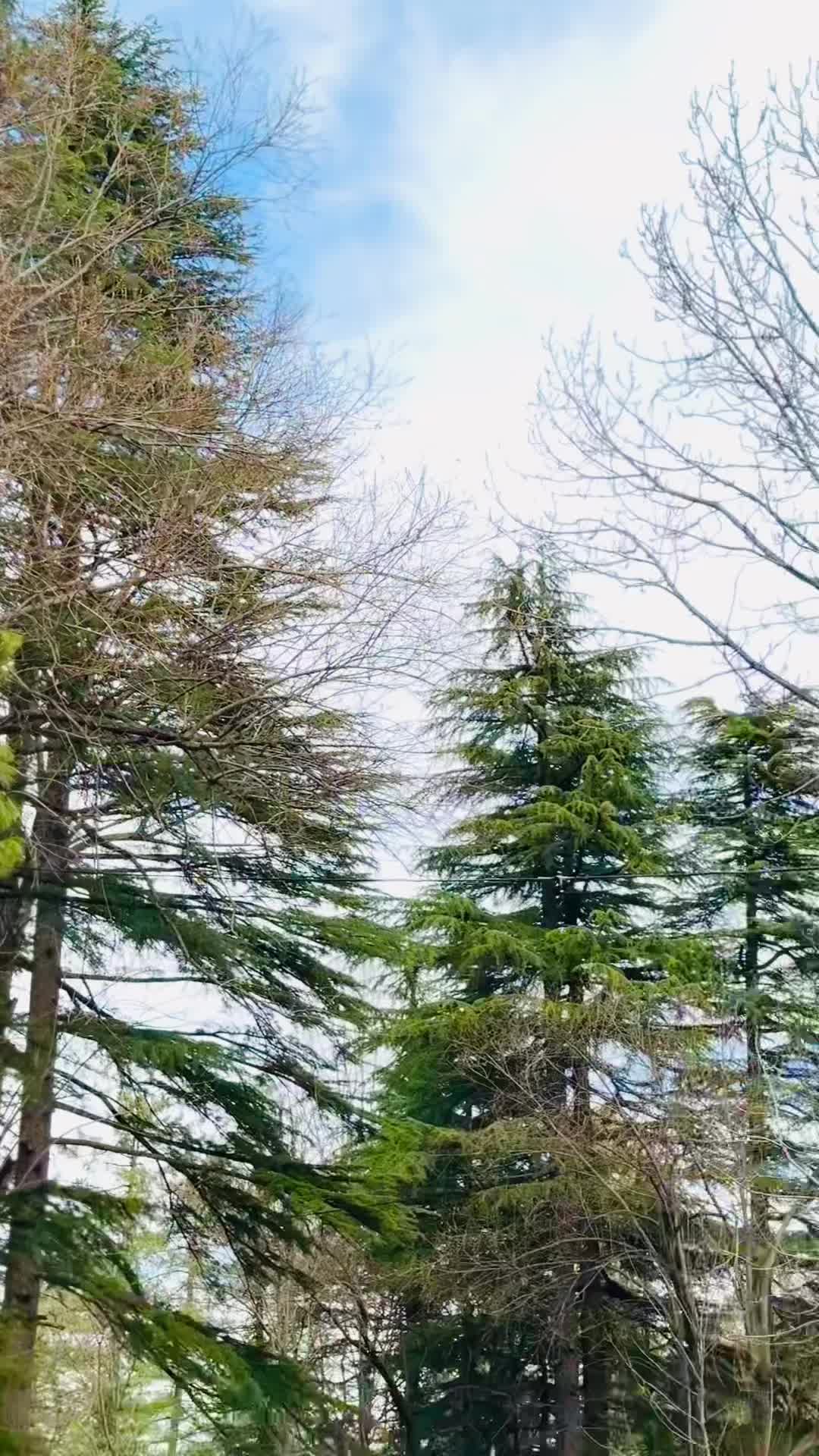 @چوھدری اکرام ورک