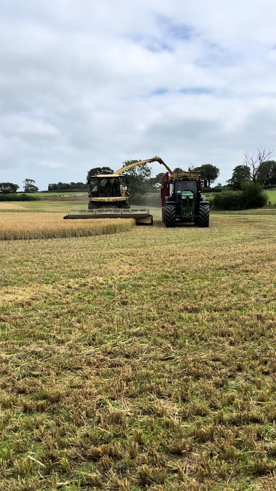 @HariWhitfield 🏴🚜