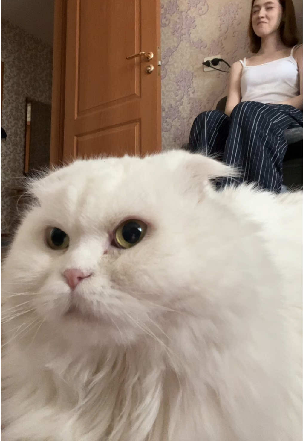@тгк:клуня