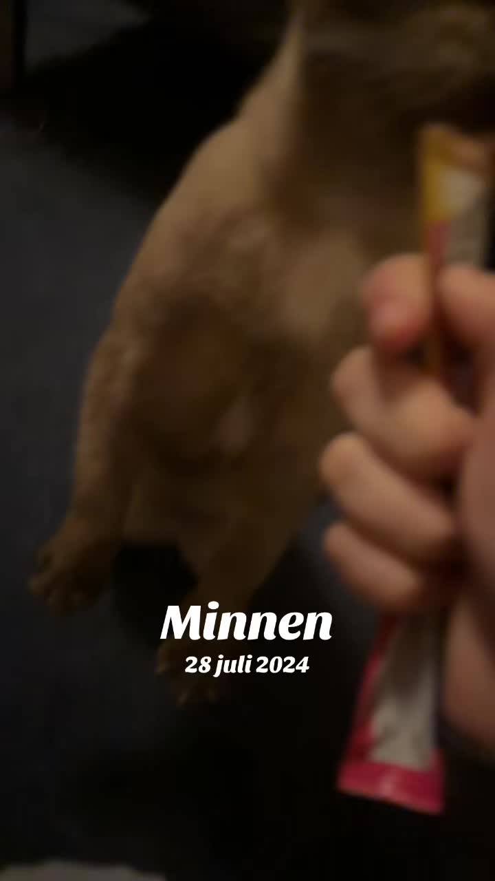 @❤️Nelly Östlund❤️