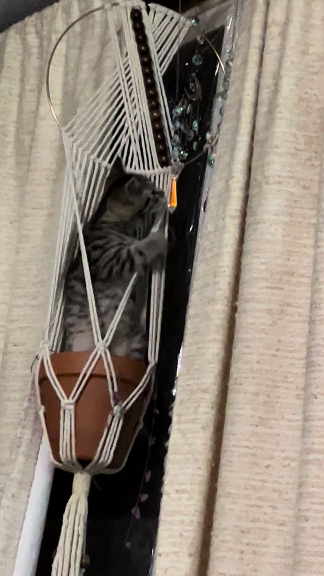 @V