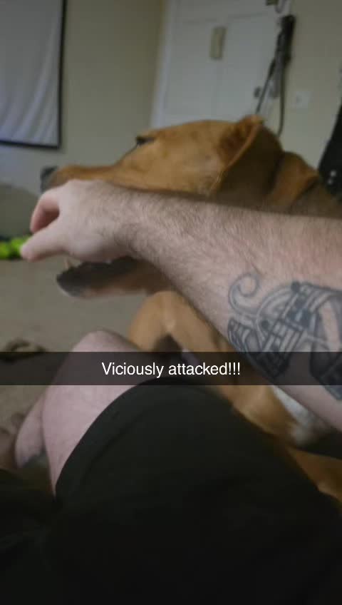 @anxiety_monster