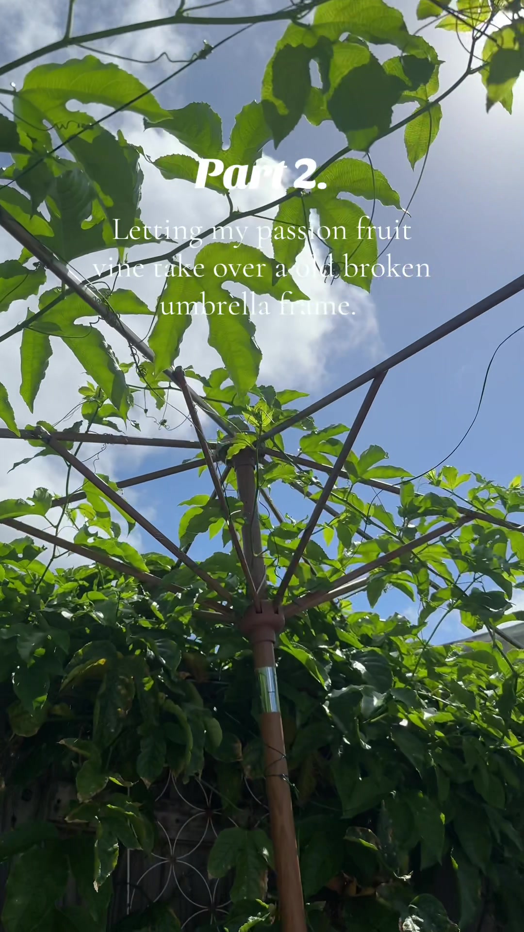 @Misscici