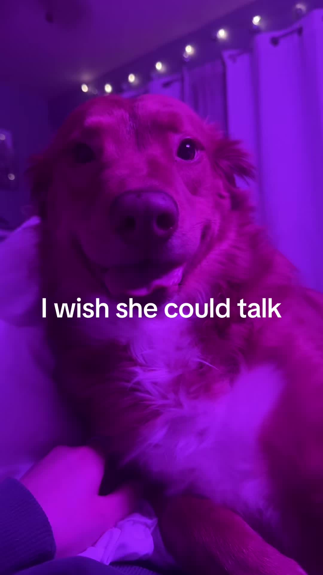 @katelyn howell