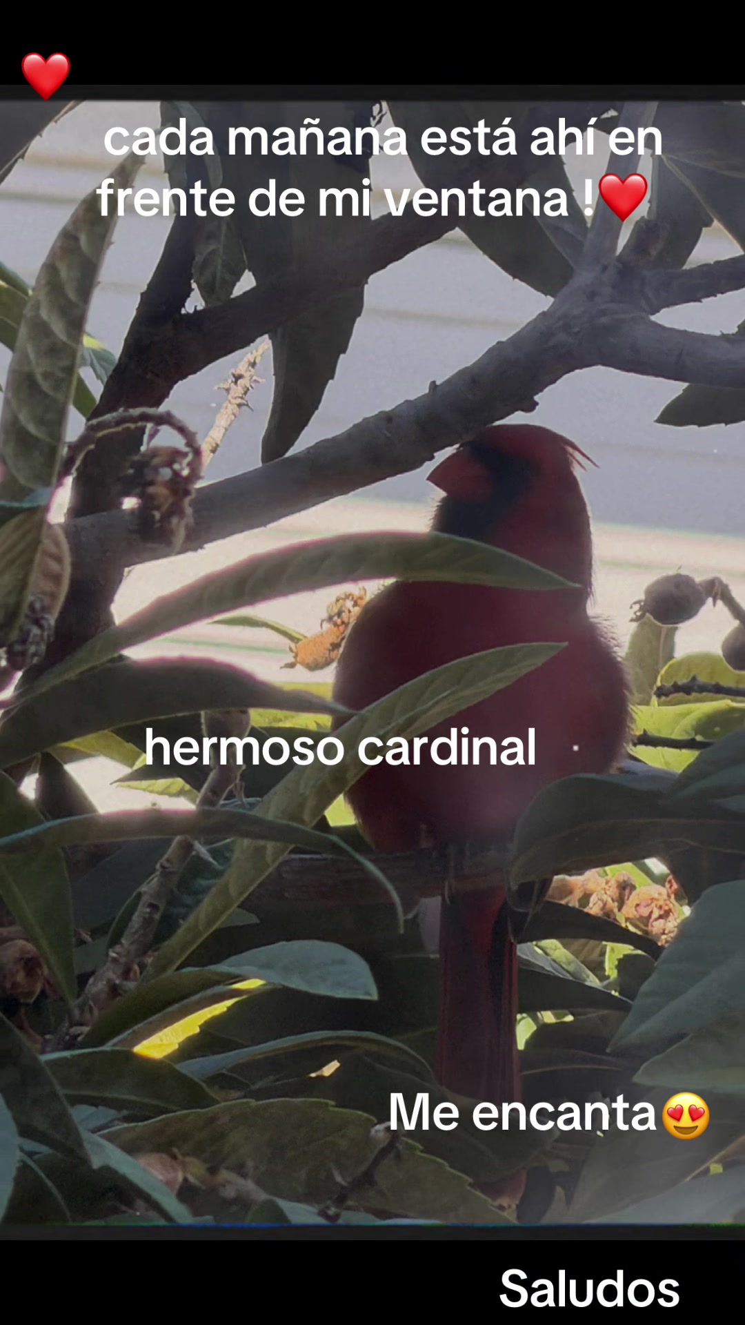 @Sabina Hernandez456 saby