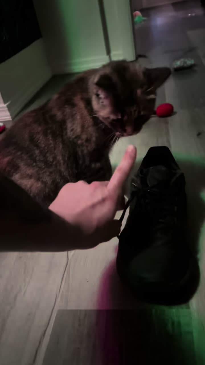 @shininglightanimalrescue