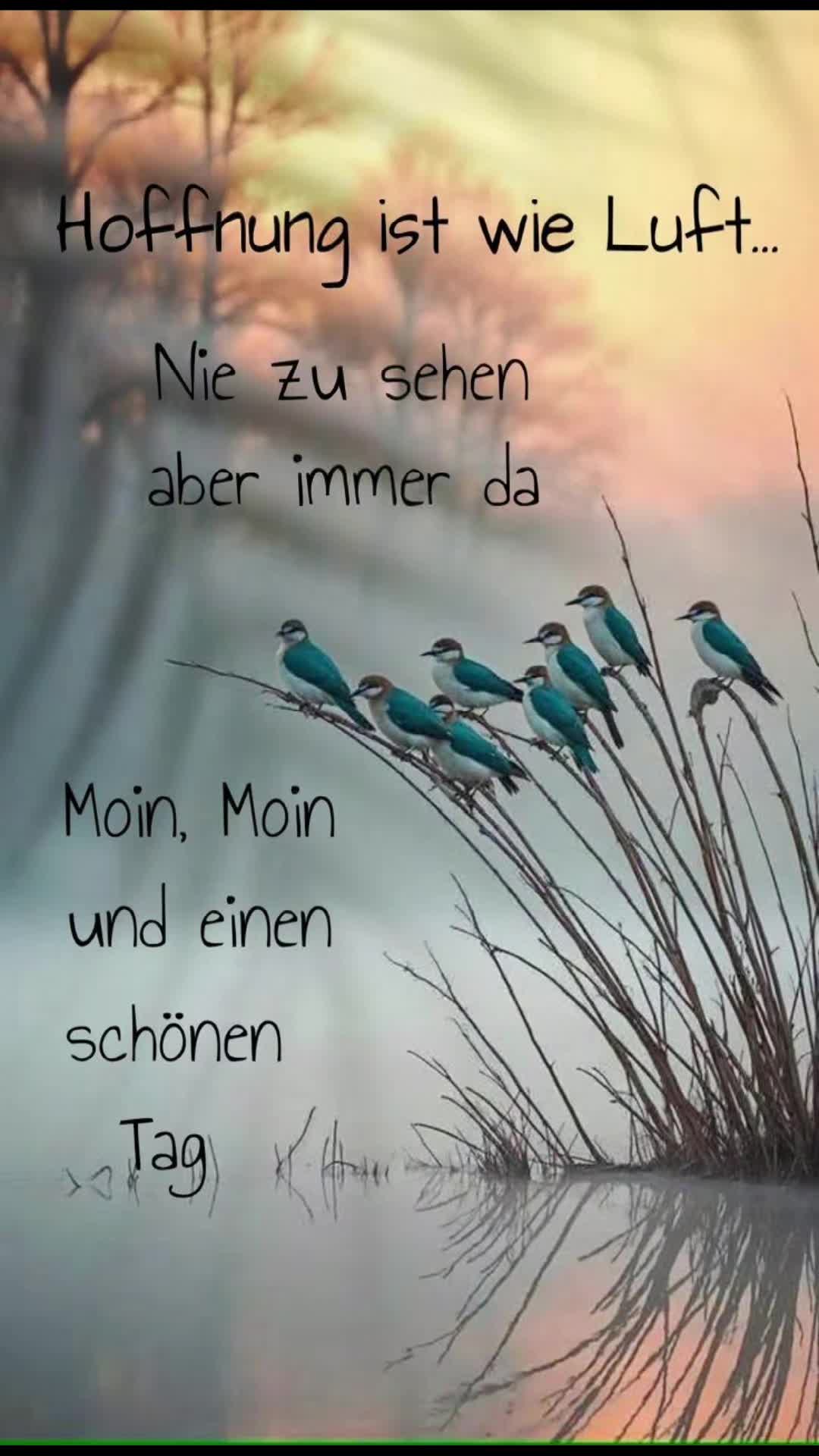 @๐ ๐Ines๐ ๐