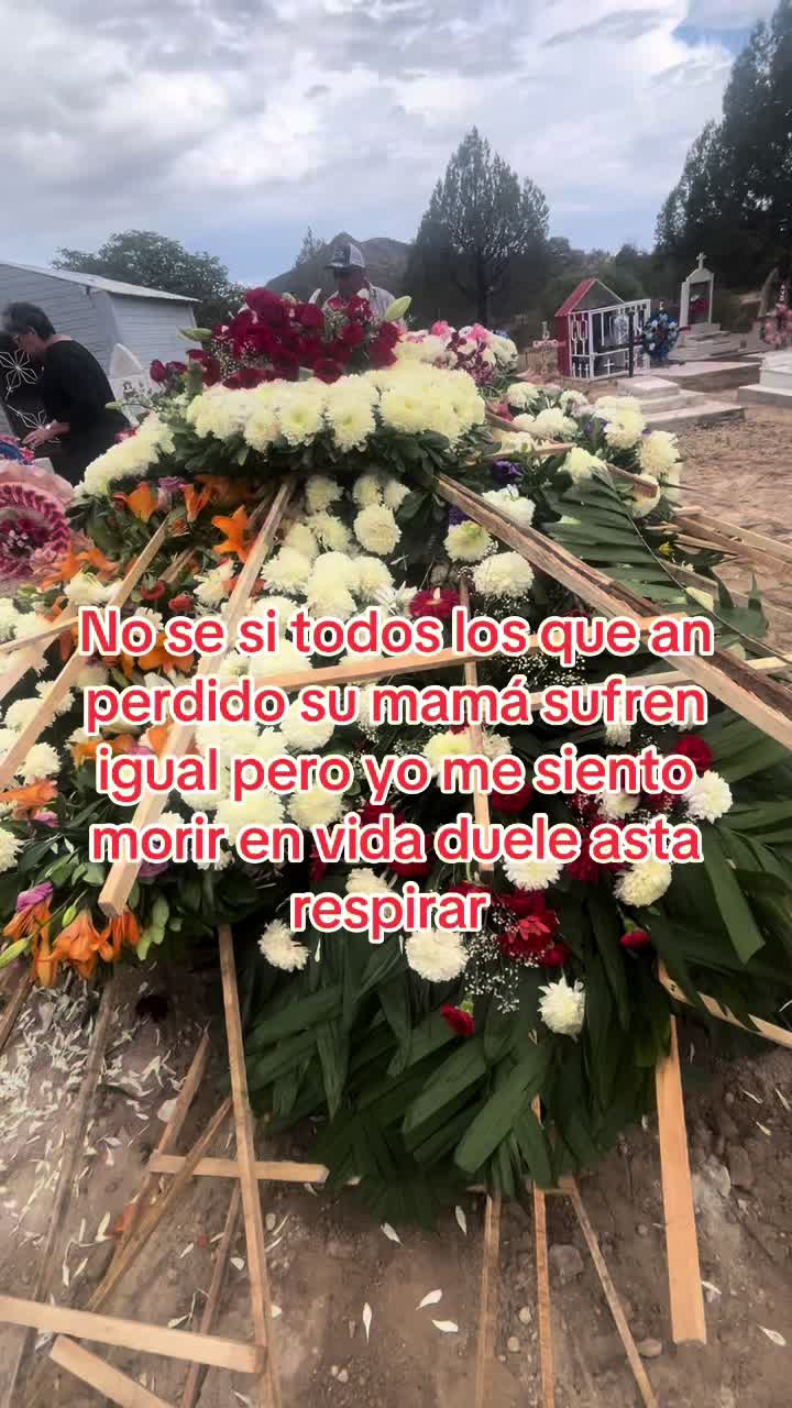 @Ledezma-53♉️