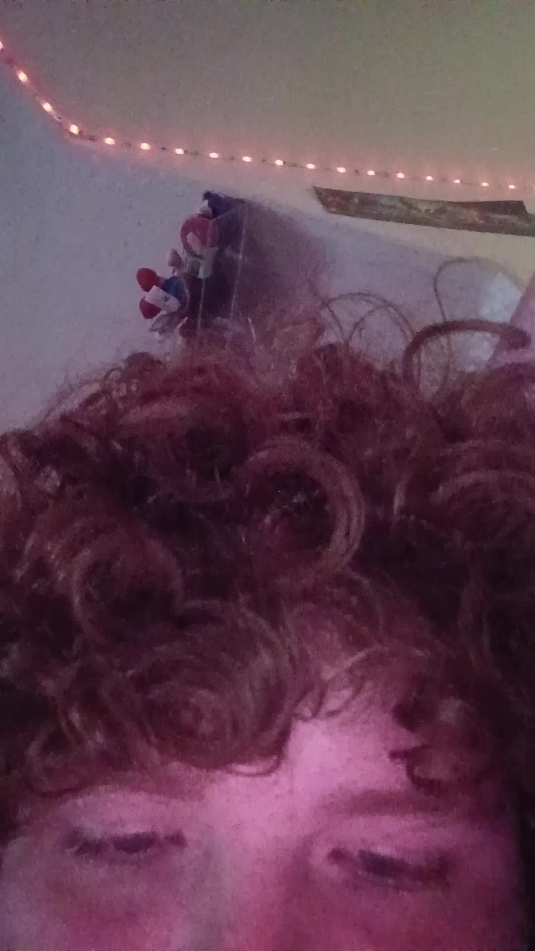 @Ankylosaurus (Gordo)