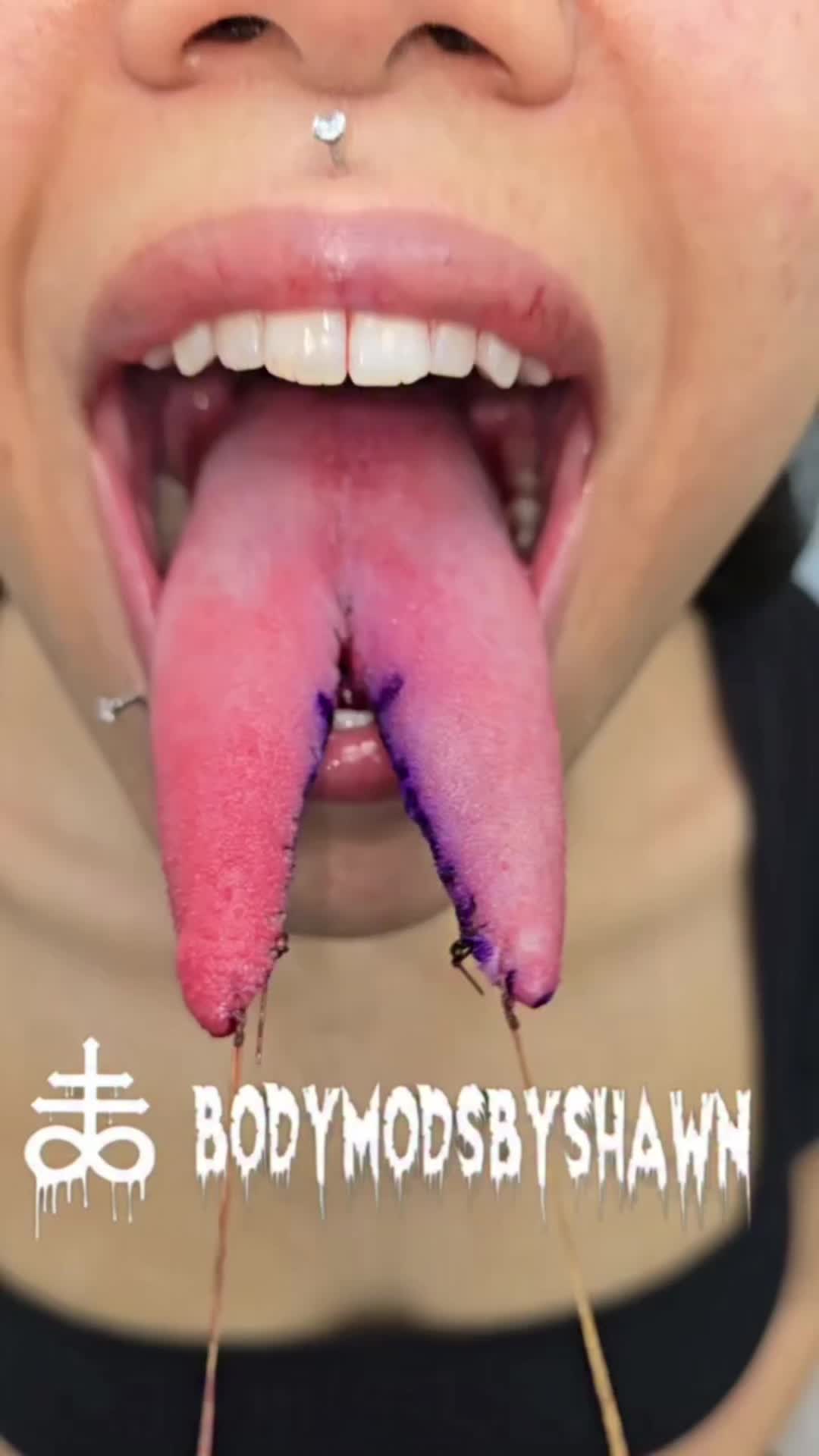 @BodymodsbyShawn