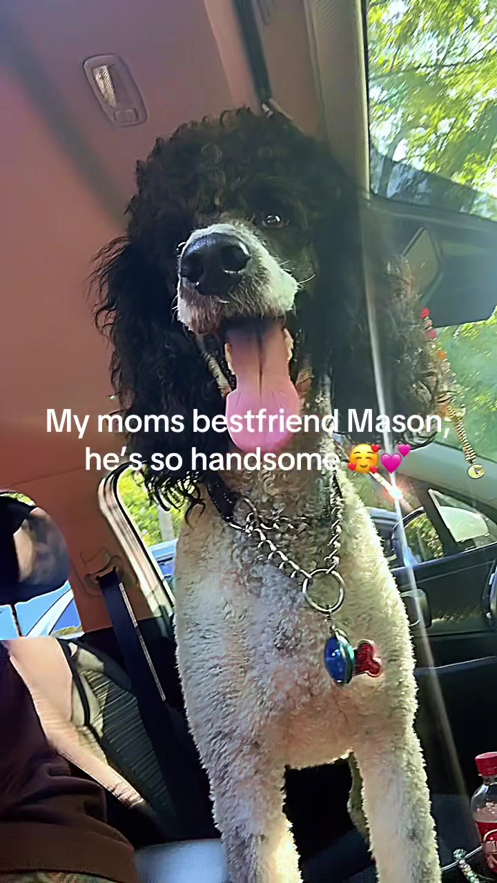 @hippyswaggab
