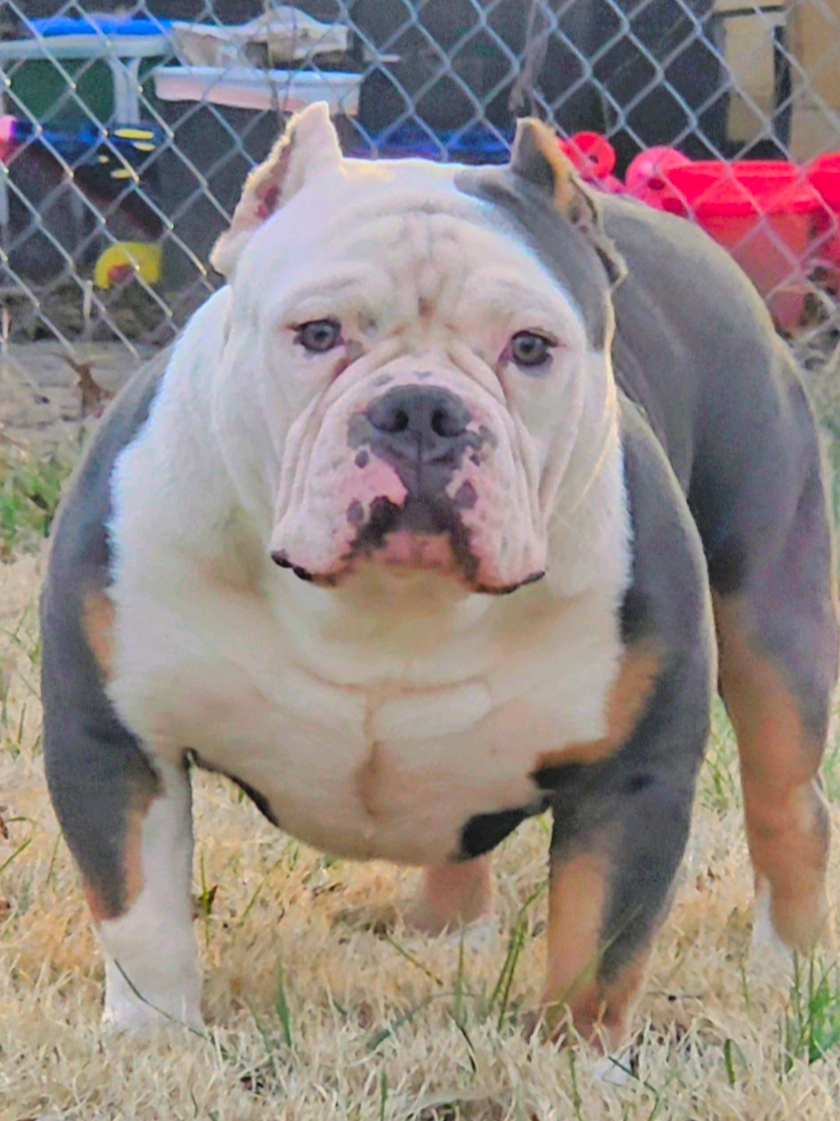 @125 BullyCamp