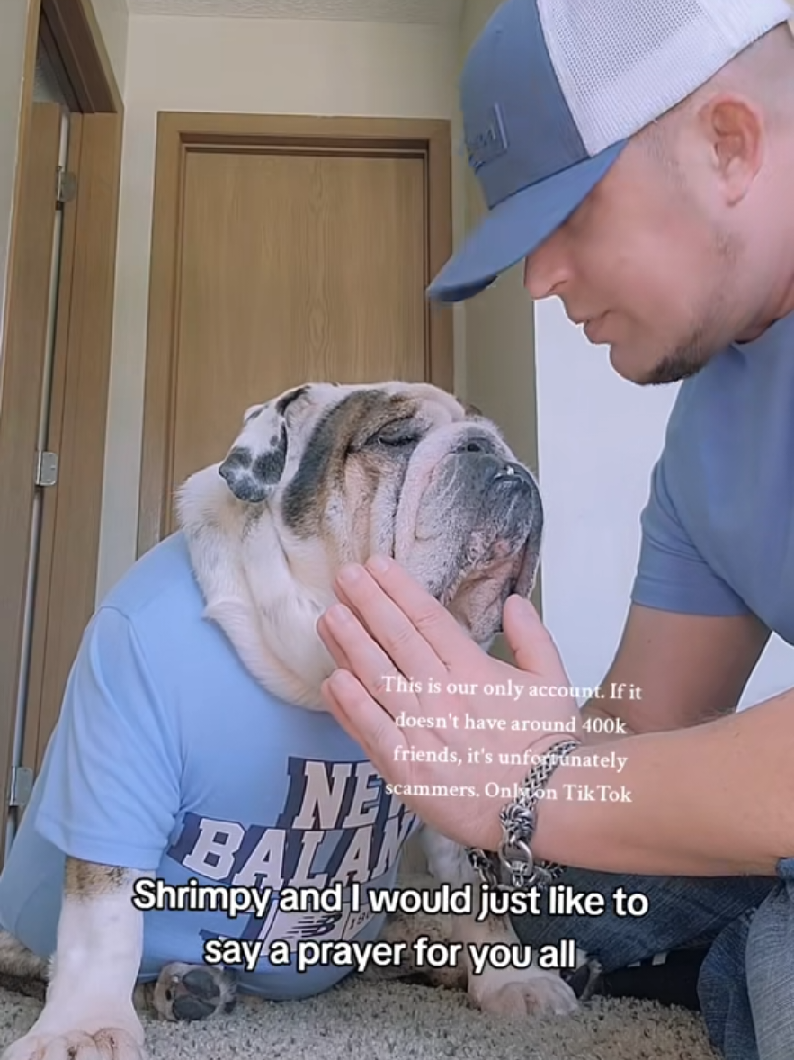 @Shrimpy