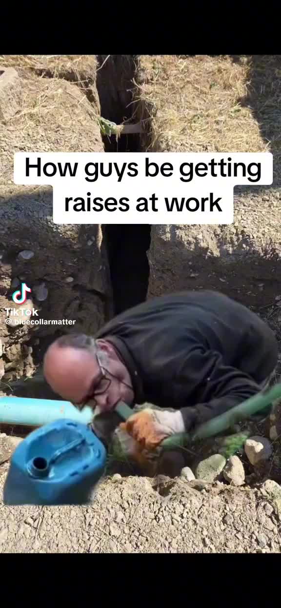 @Crookedcitykennel