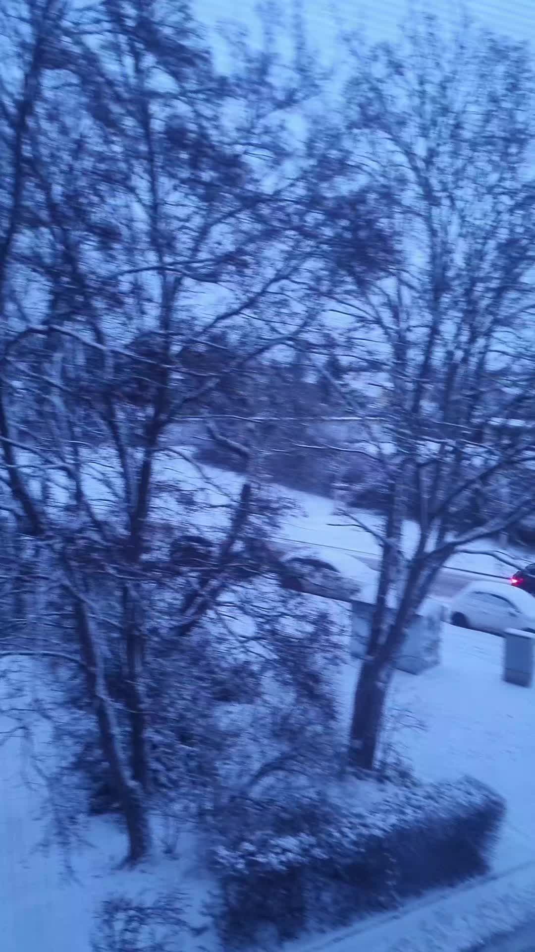 @jensi