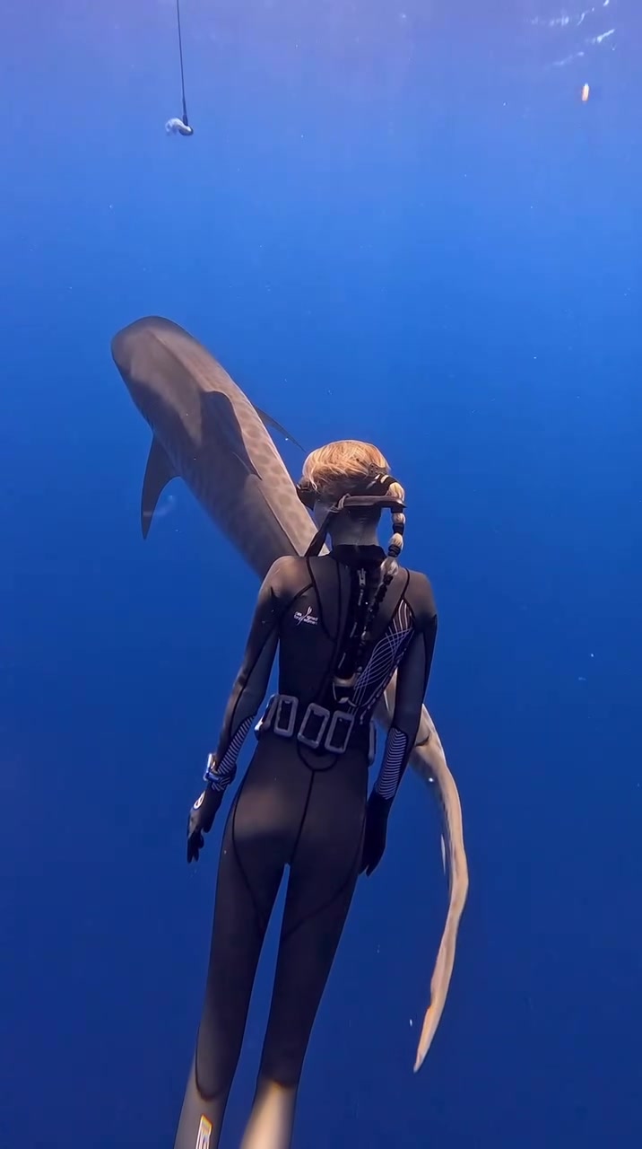 @Ocean Ramsey Sharks