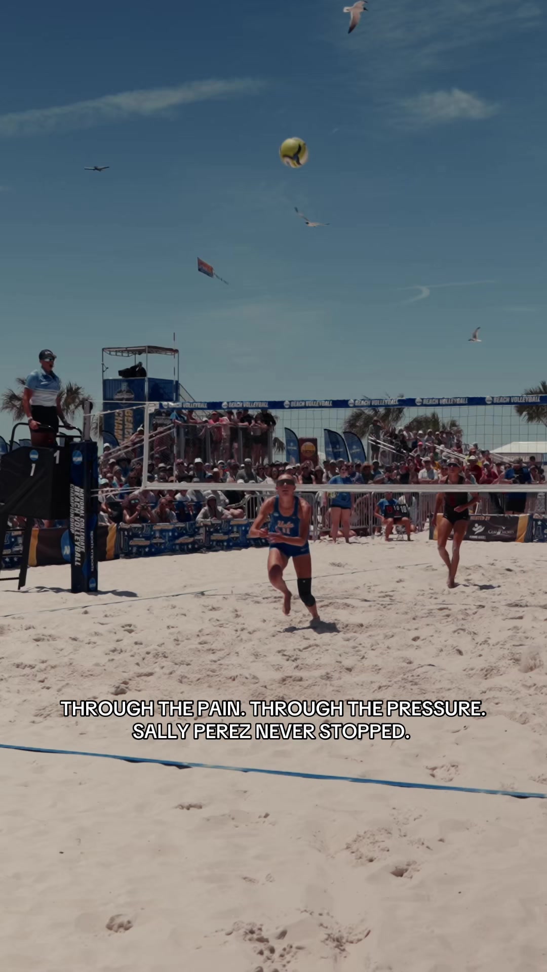 @NCAA Volleyball
