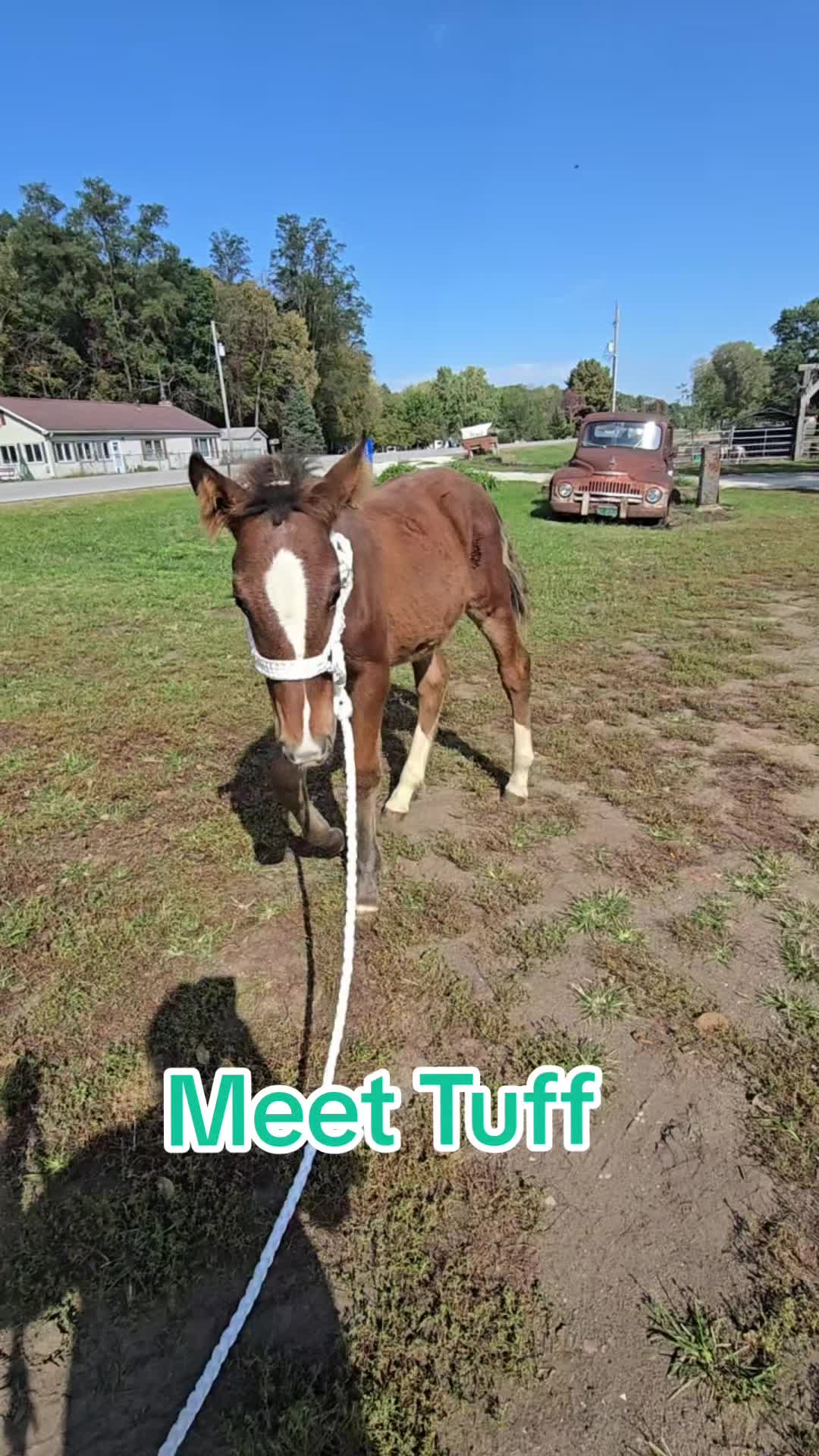 @Small Town Farm LLC
