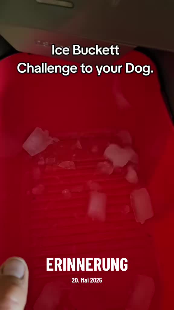 @Cooper😍and😍 I 🐕🏃♂️🫶🏻