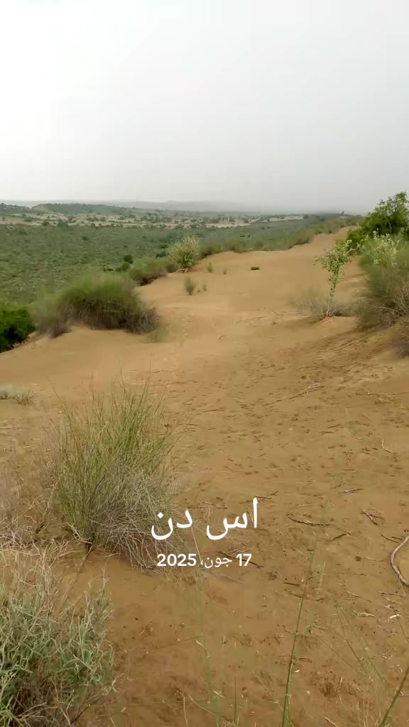 @S.S.L