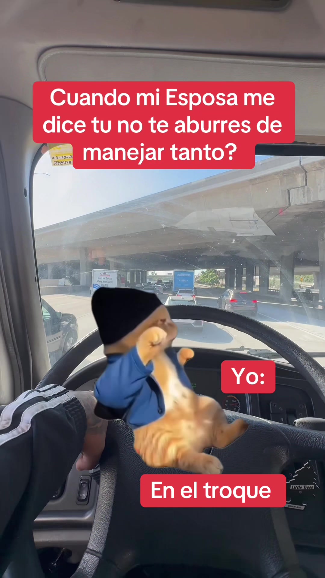 @Elchalo