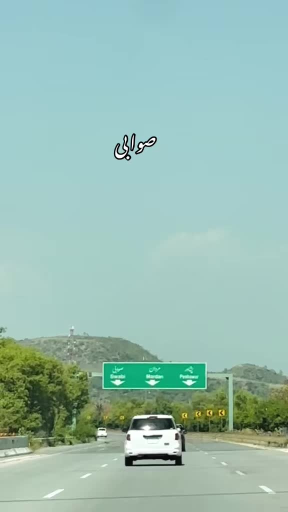 @Wali Gull 215 Family