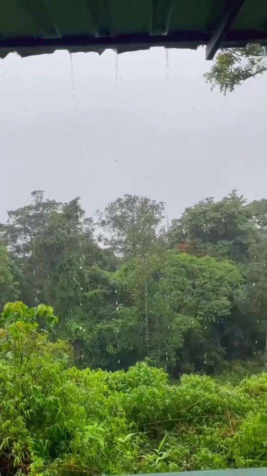 @Wan 🚖🎥🎧🌳⛰️💚🧡