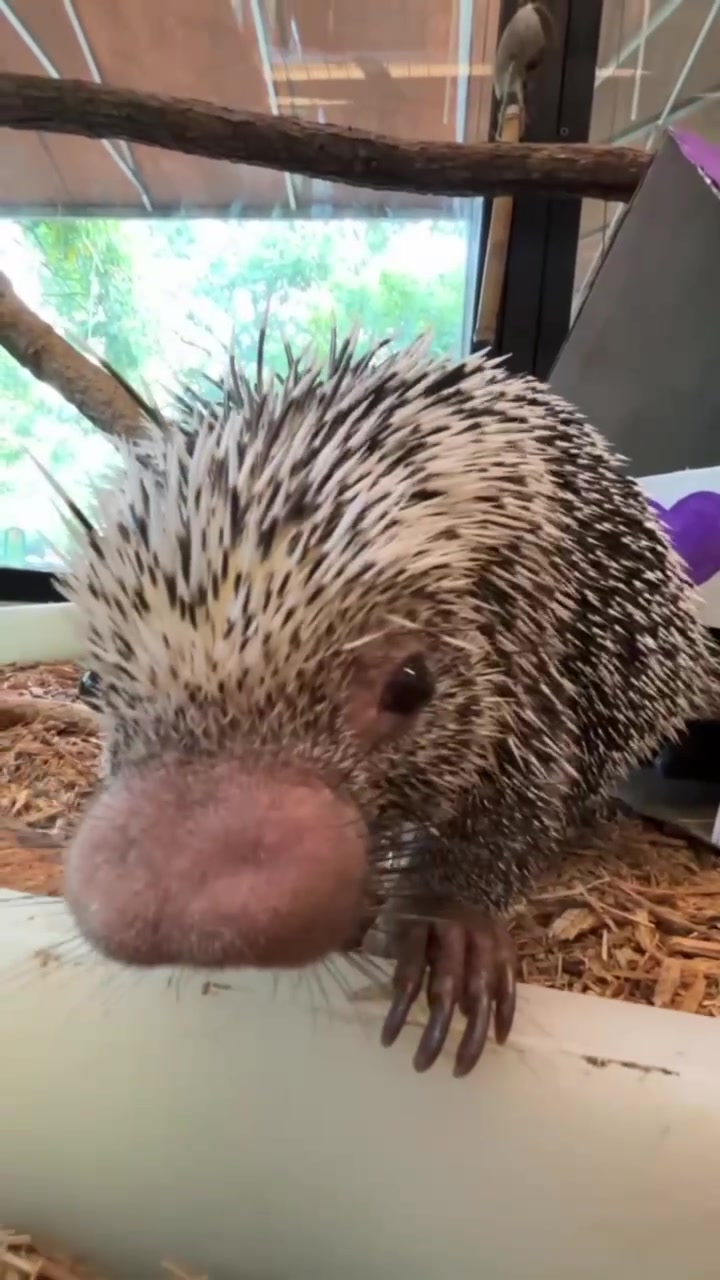 @Cincinnati Zoo