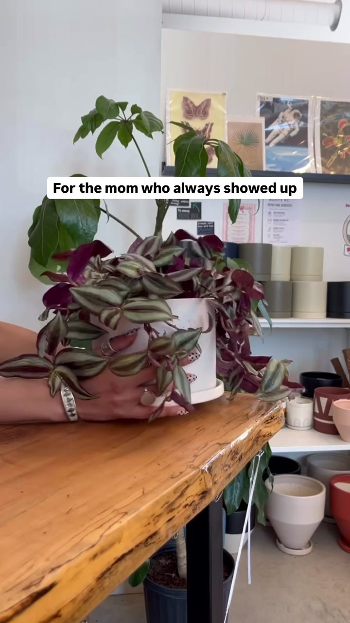 @Rootskc