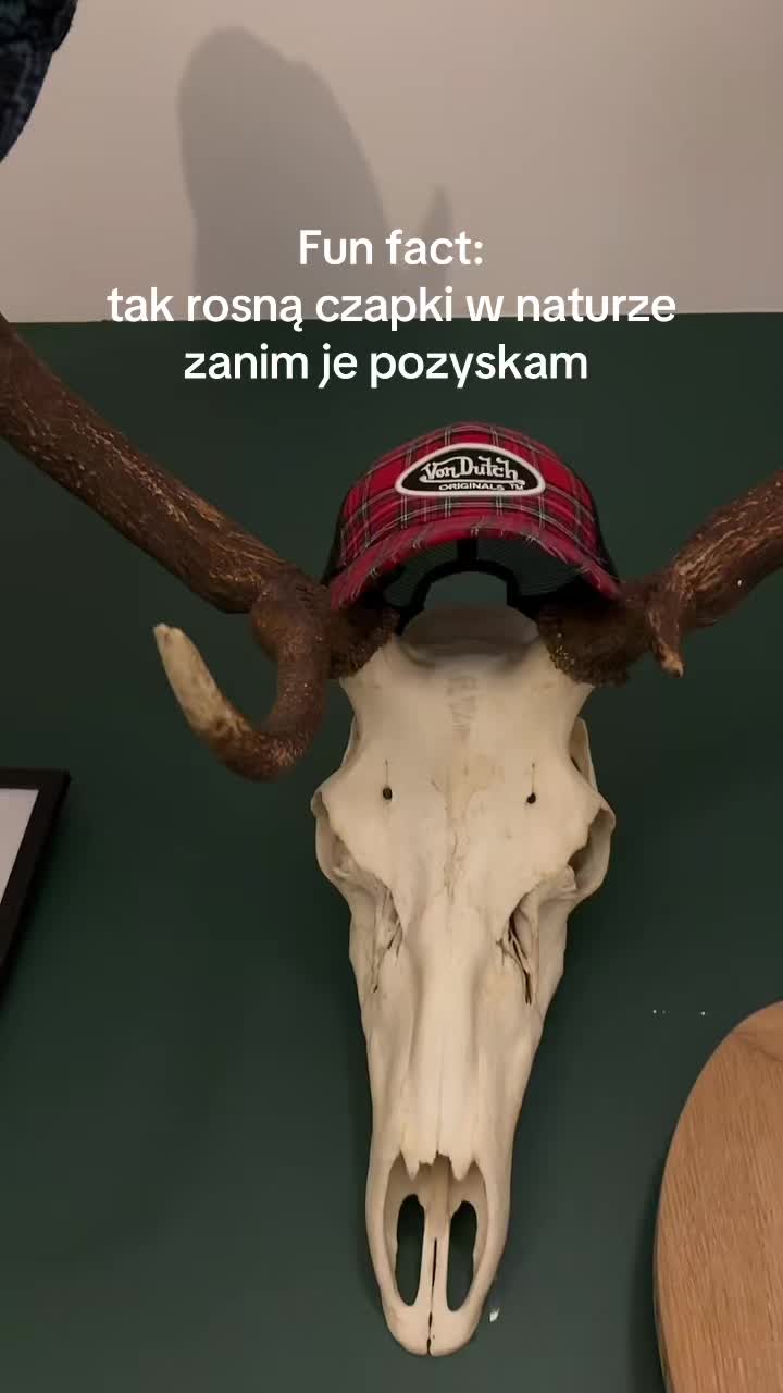 @GRURZA